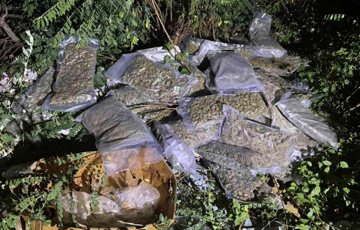 Obrenovac, zaplena, marihuana