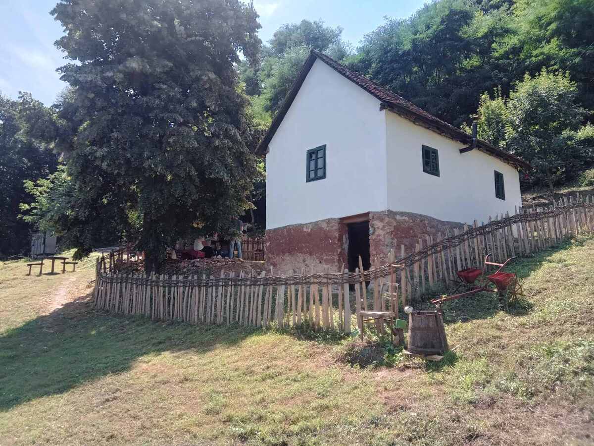 LOZNICA - Obnovljena.jpg