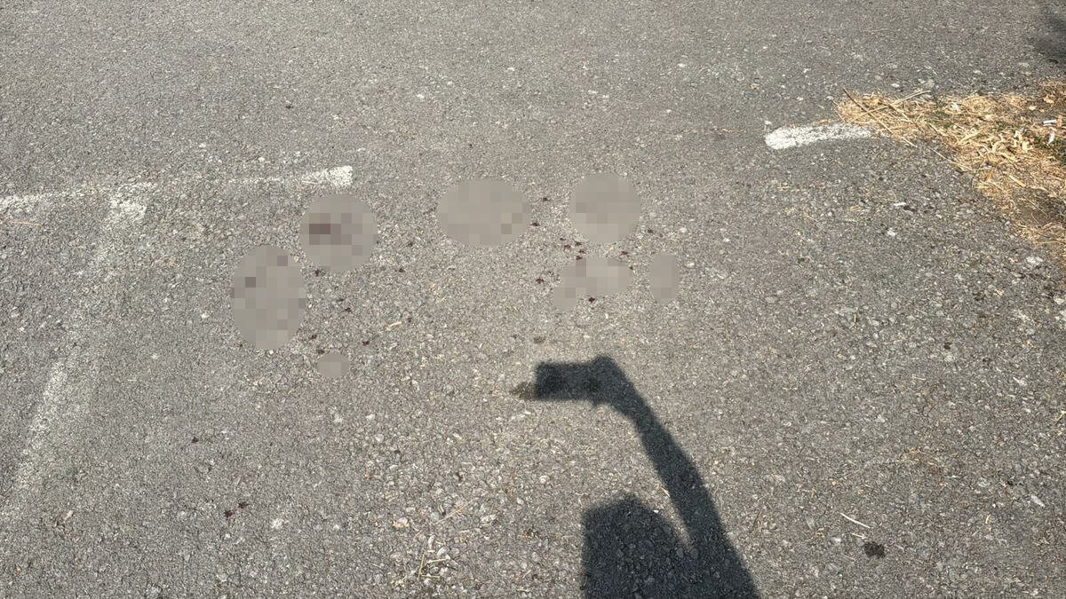 Draževac, pokušaj ubistva (9).jpeg