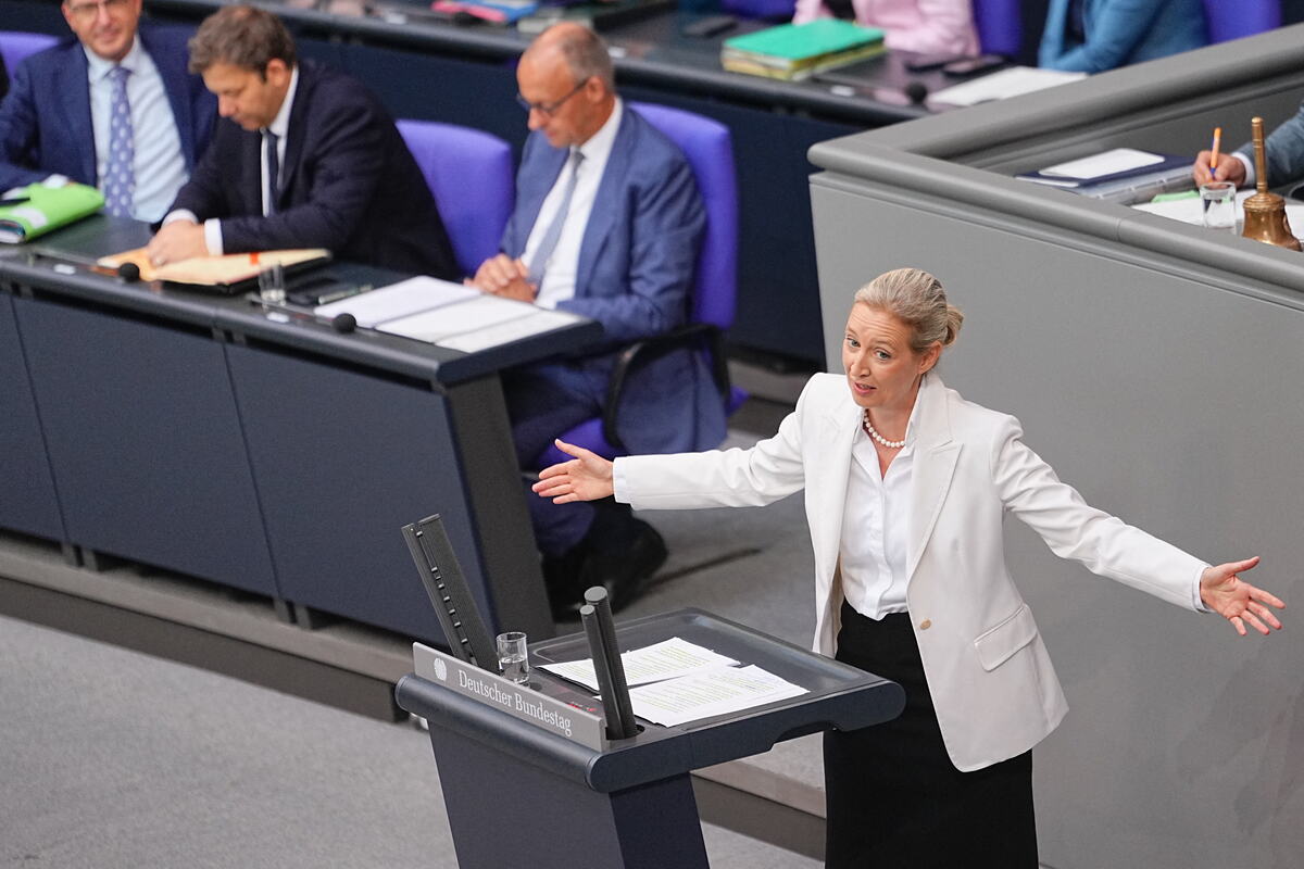merz widel05 AP Michael Kappeler.jpg