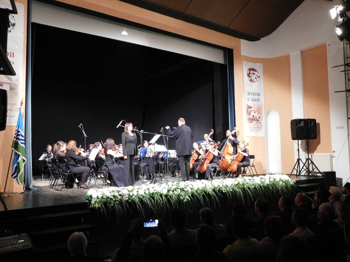 LOZNICA - Koncert.JPG