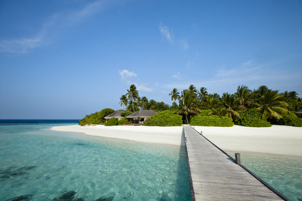 Bahami Bahamas (3).jpg