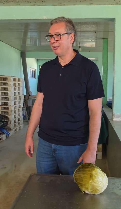 Aleksandar Vučić porodica Danila Milivojevića kiseli kupus (6).png