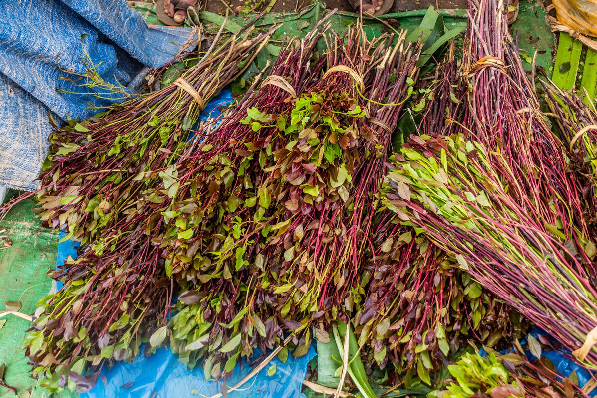 shutterstock_2287321957.jpg