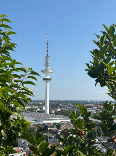 HAMBURG8.jpg