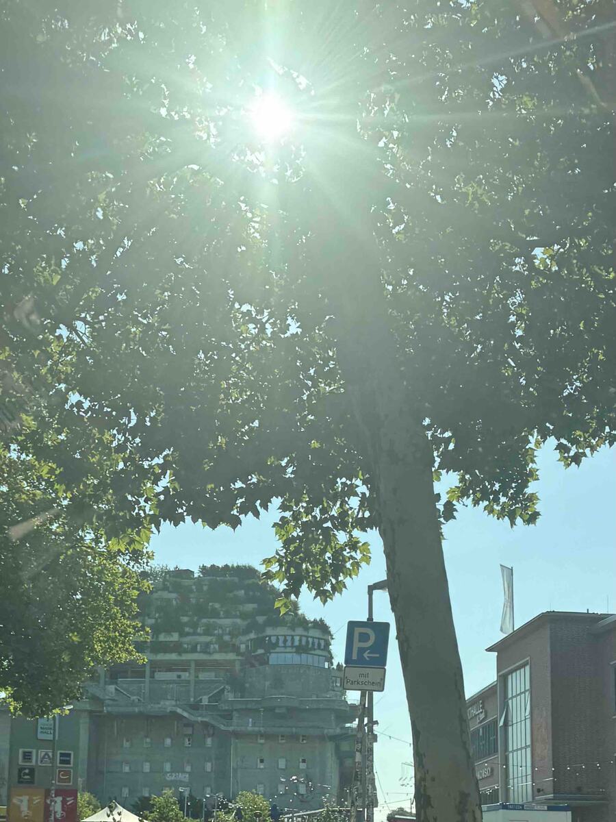 HAMBURG11.jpg
