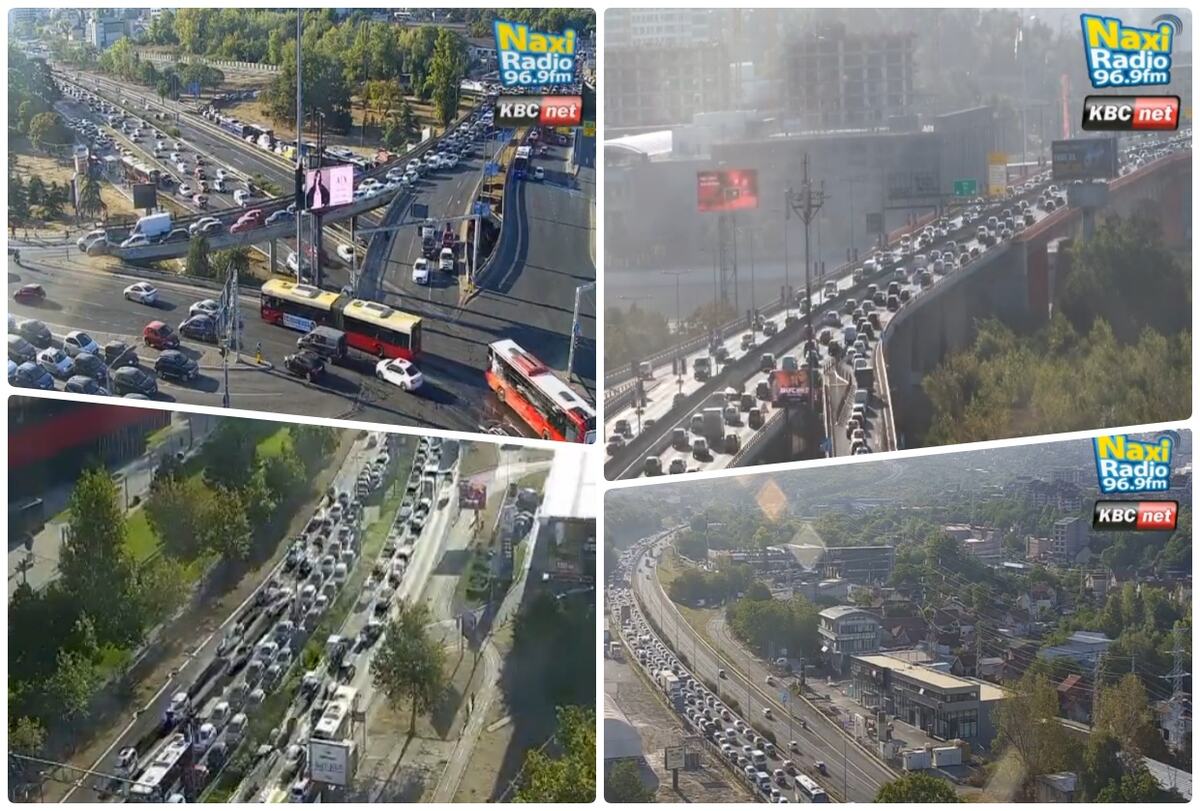 jutarnji špic.jpg
