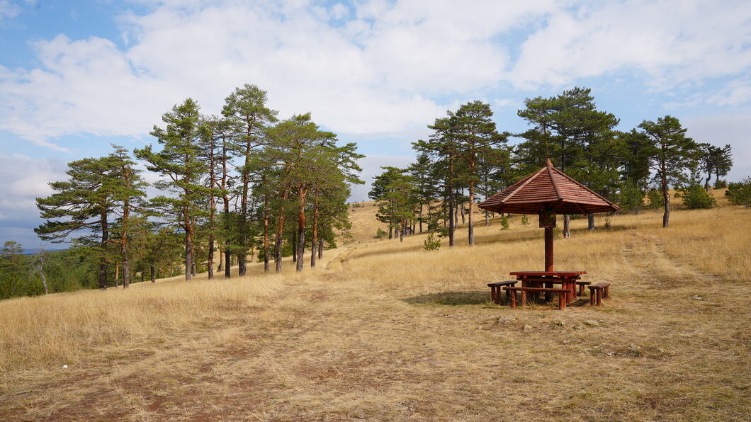zlatibor-park-prirode-fotorina.jpg