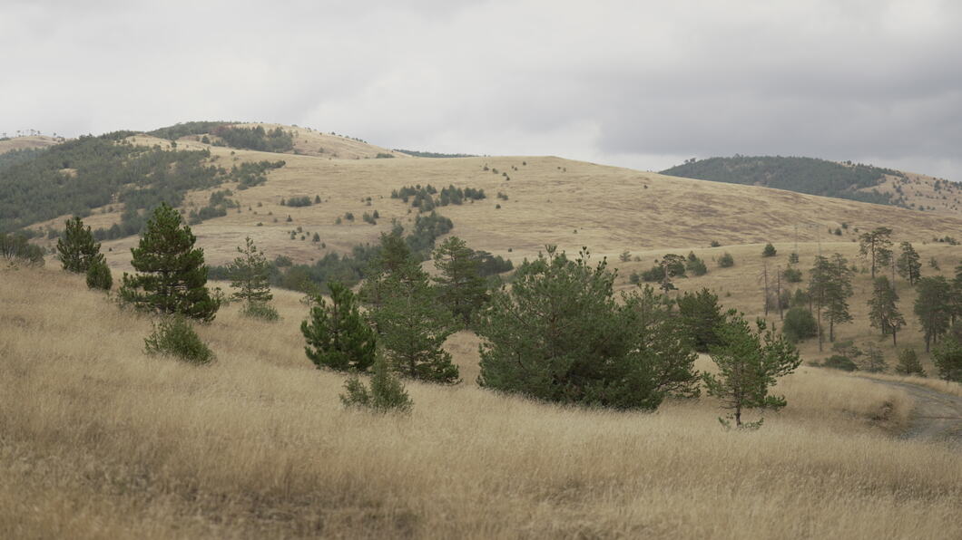 zlatibor-park-prirode-fotorina32.jpg