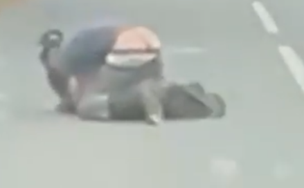 rvanje odbegli emu Velika Britanija (7).png