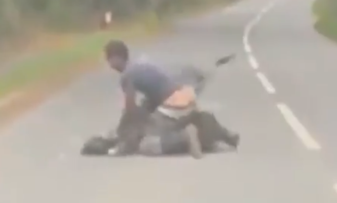 rvanje odbegli emu Velika Britanija (3).png