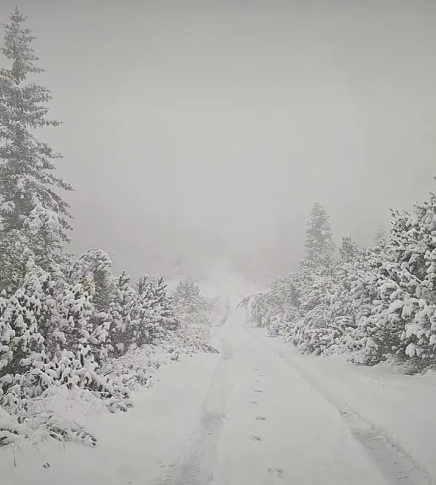 sneg na žabljaku i durmitoru (4).png