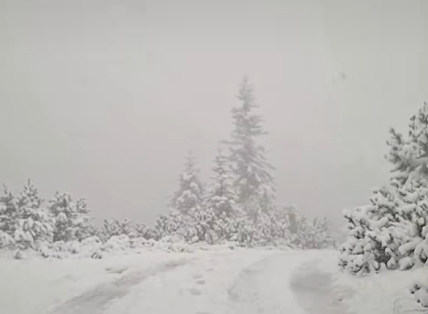 sneg na žabljaku i durmitoru (1).png