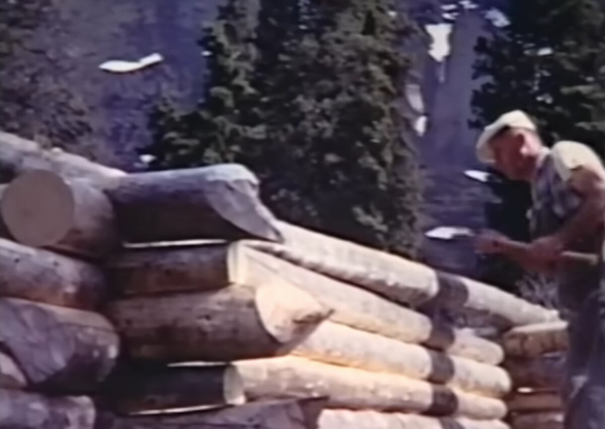 Brvnara Ričarda Proenekea i uzdignuto spremište za hranu kraj jezera Tvin Lejks na Aljasci (1).png