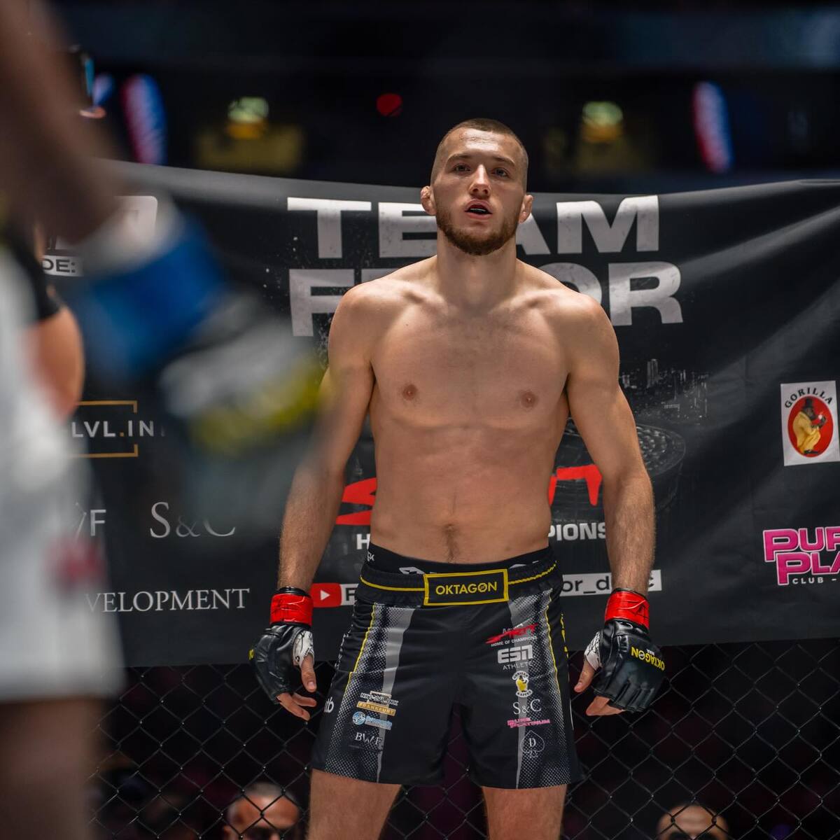 Fedor Đurić