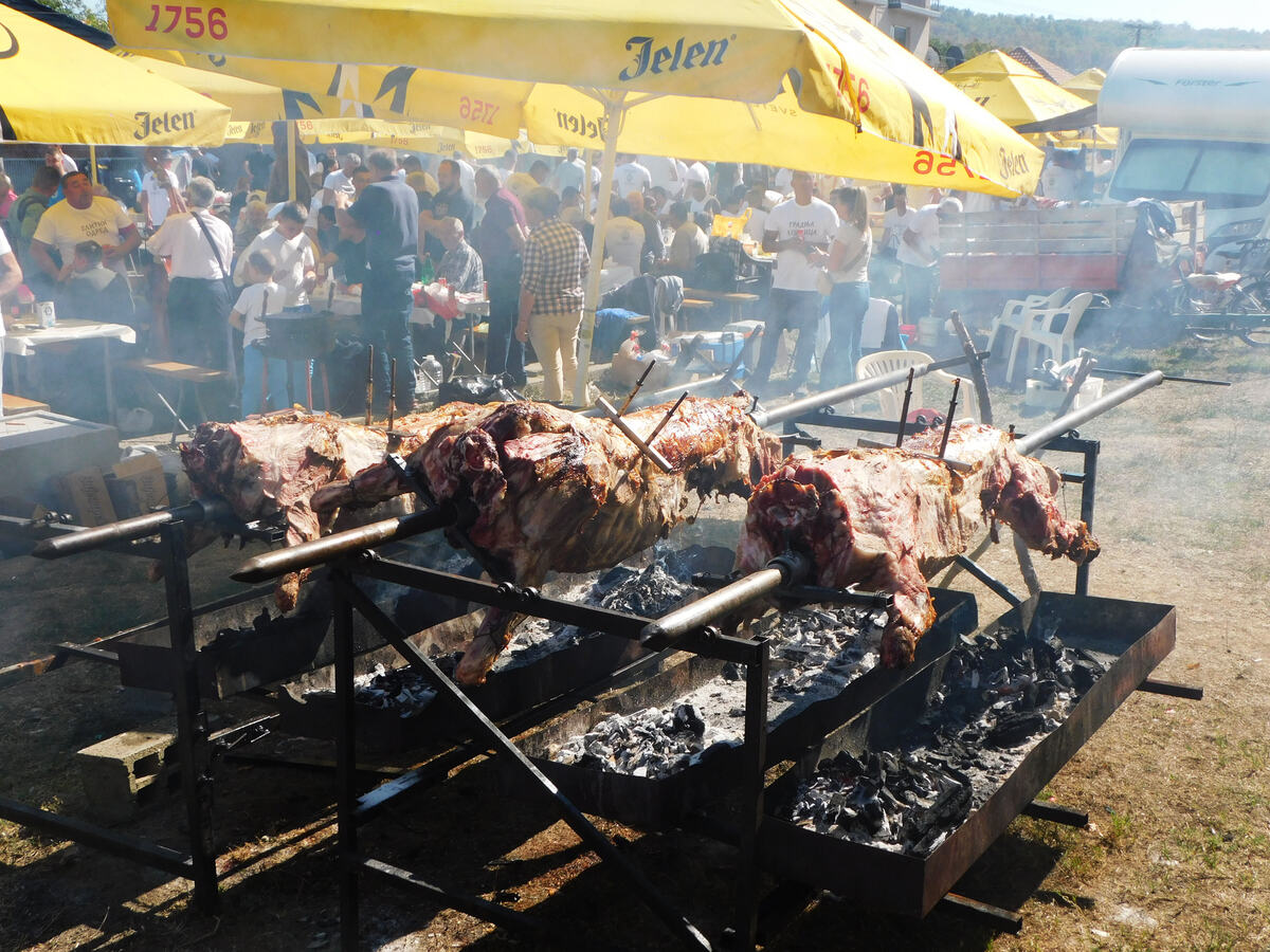 LOZNICA - Zoka.JPG