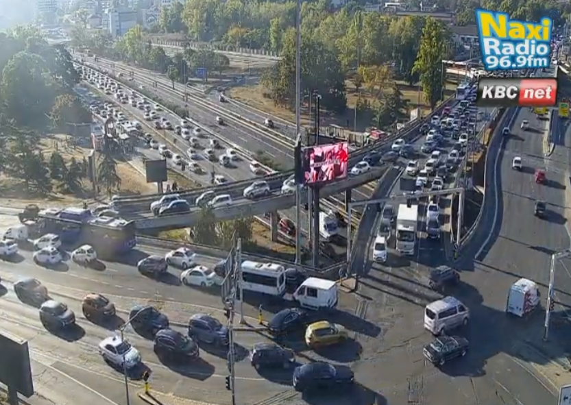 jutarnji špic.jpg