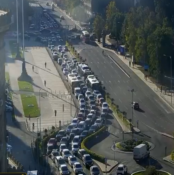 jutarnji špic.jpg