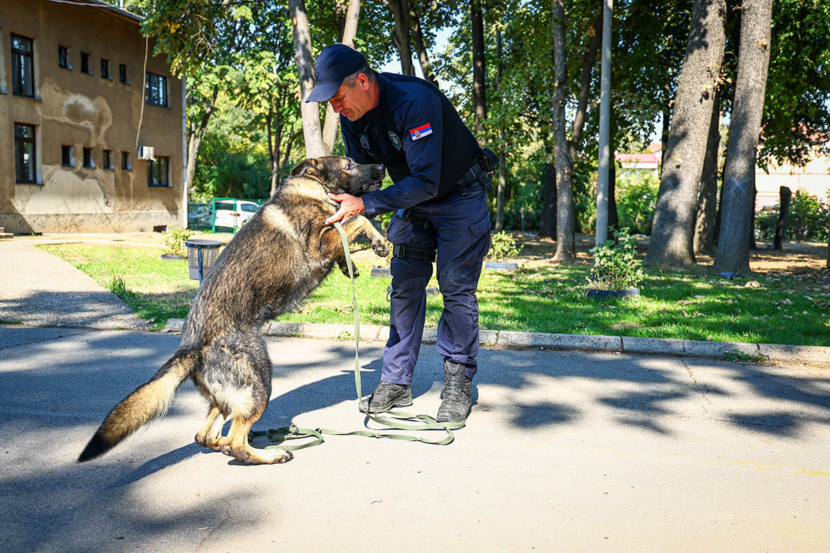Aki Maki, Vladan Kovačević, policijska brigada (1).jpg