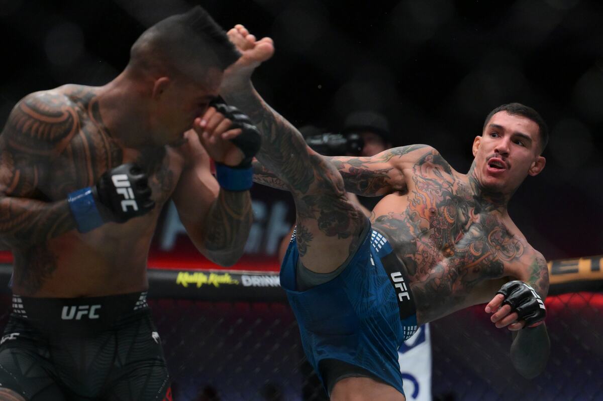 Andre Fili