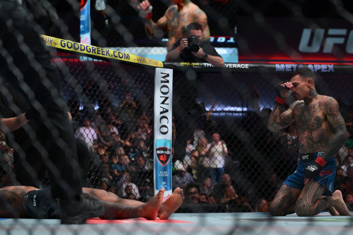 Andre Fili