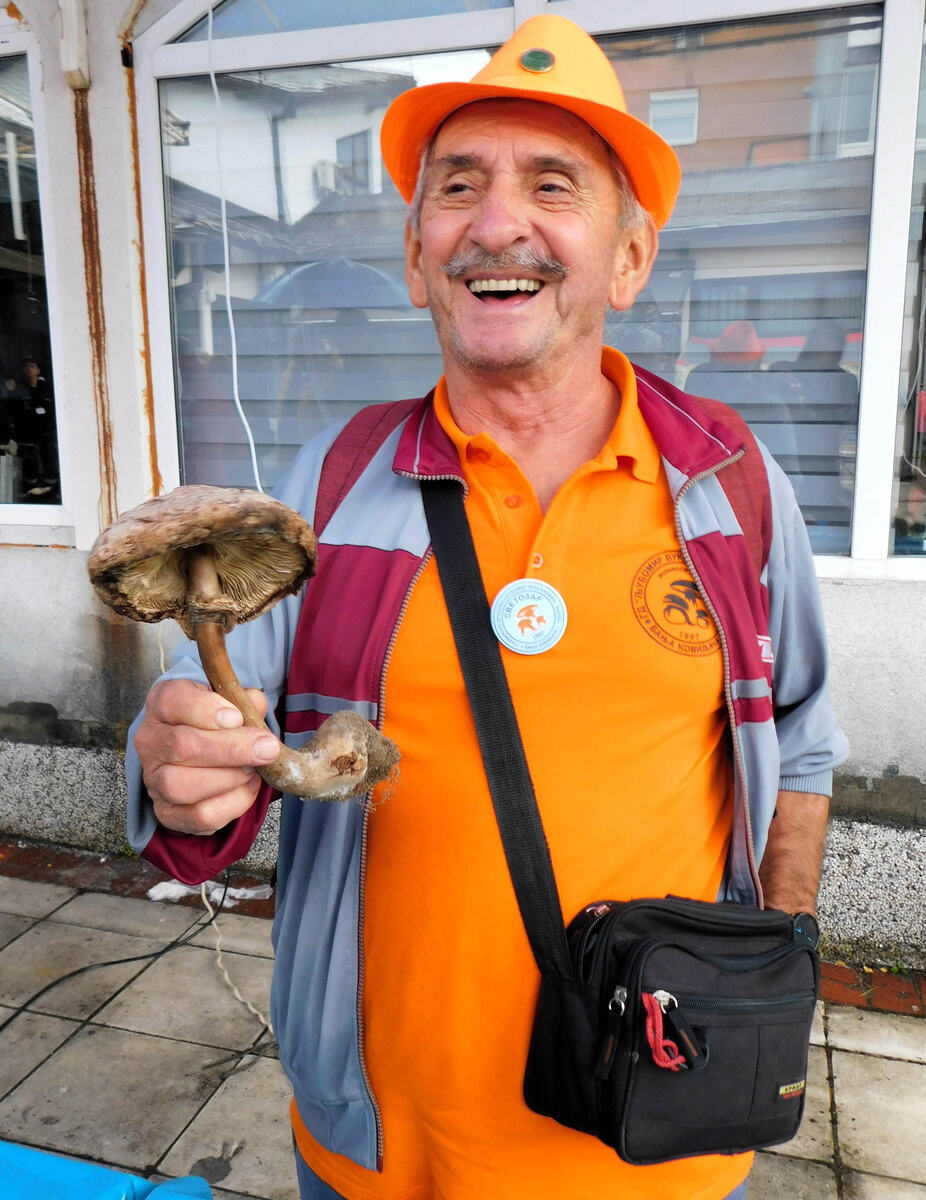 BANJA KOVILJAČA - Spomenik gljivi.jpg