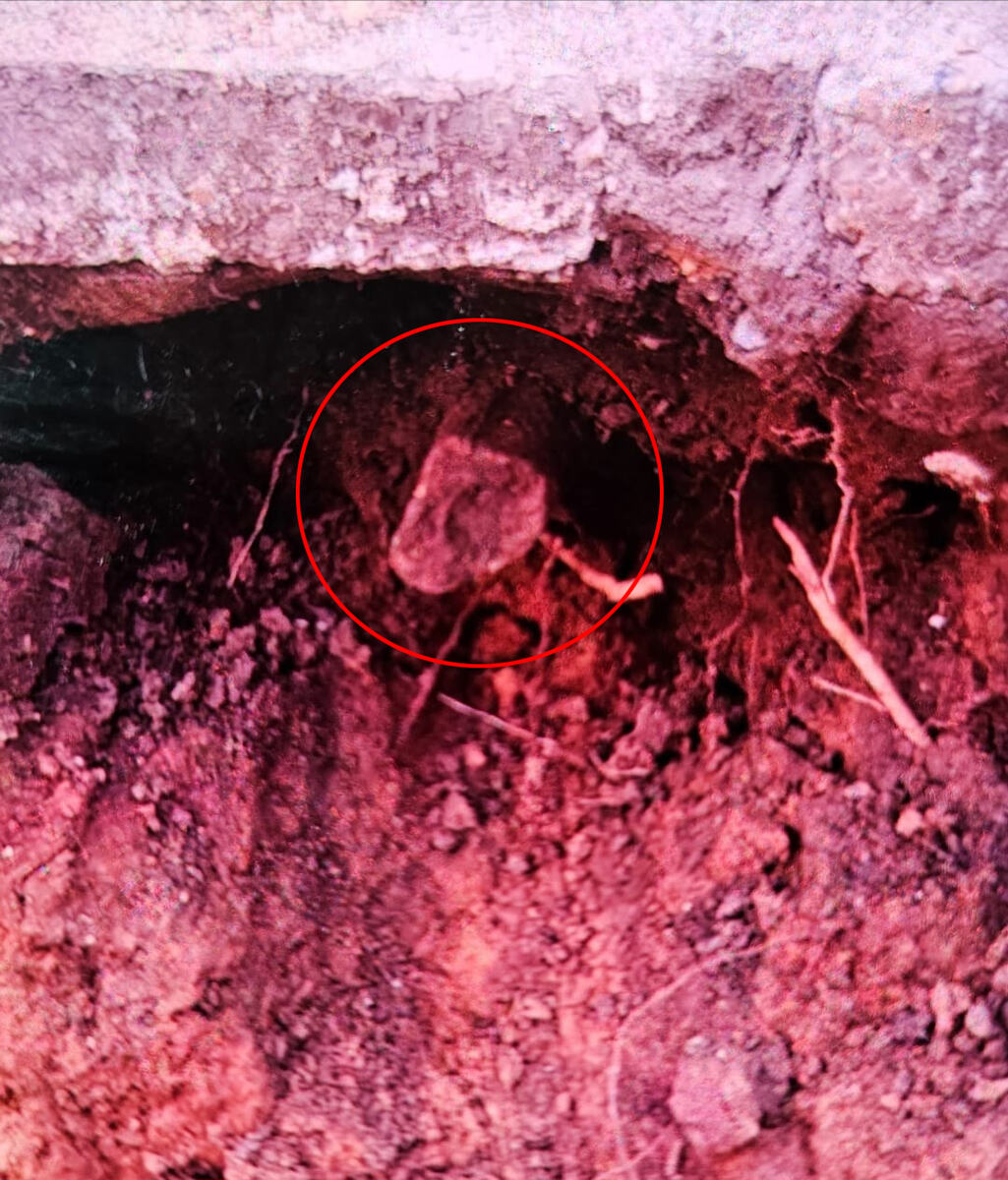 kost pronađena tokom renoviranja kuće