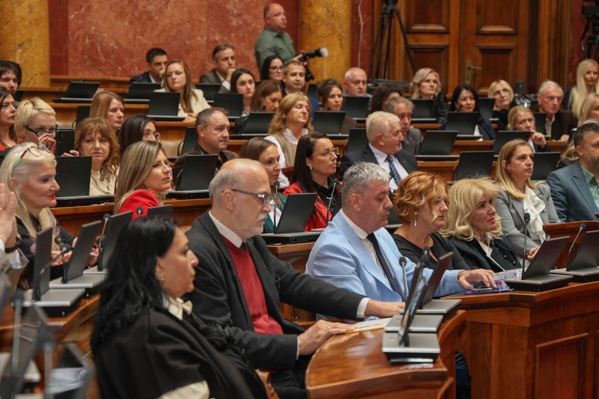 Milica Đurđević Stamenkovski socijalna zaštita