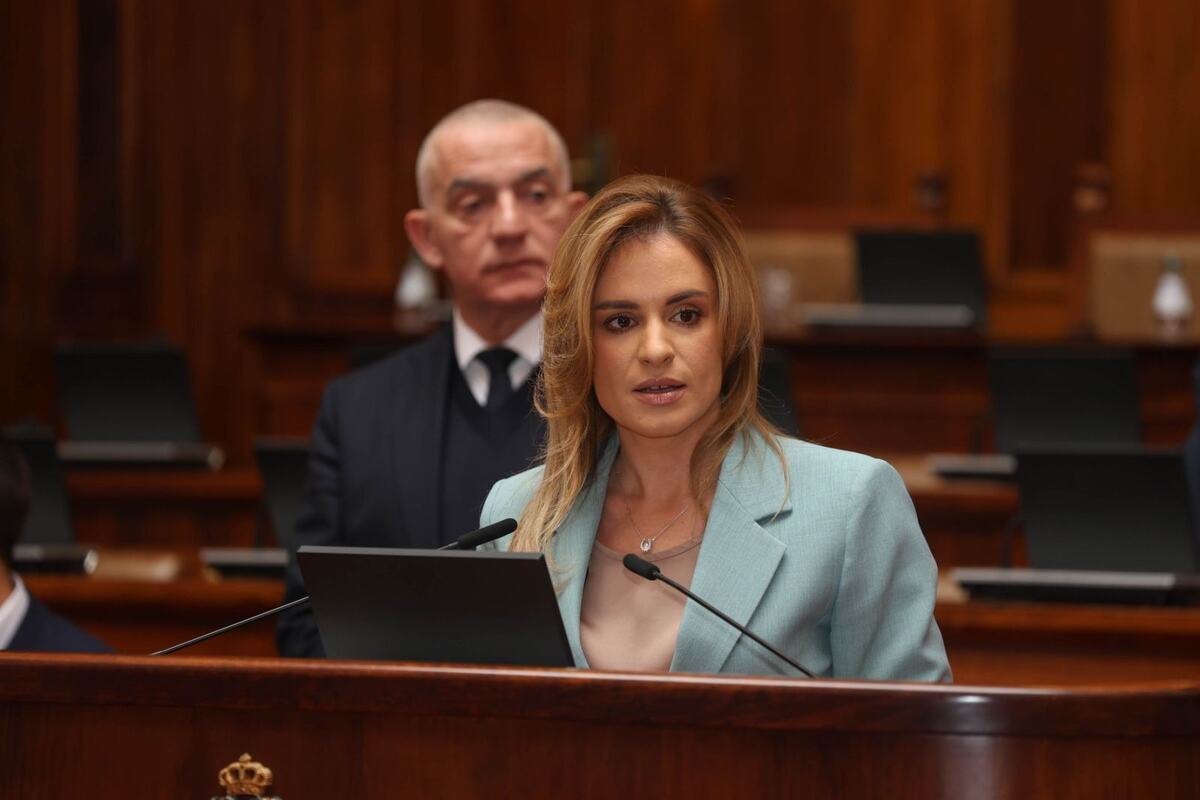 Milica Đurđević Stamenkovski socijalna zaštita