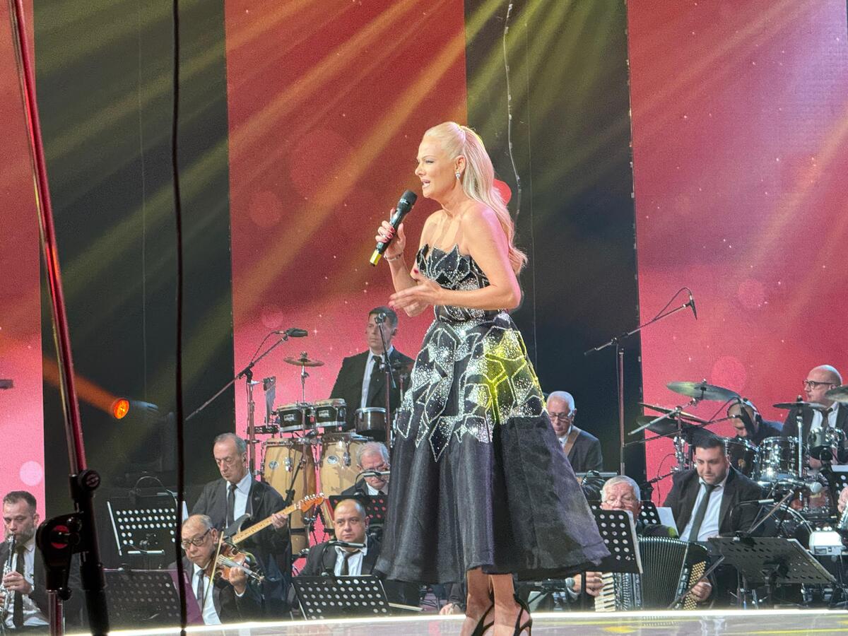 Ilda Šaulić