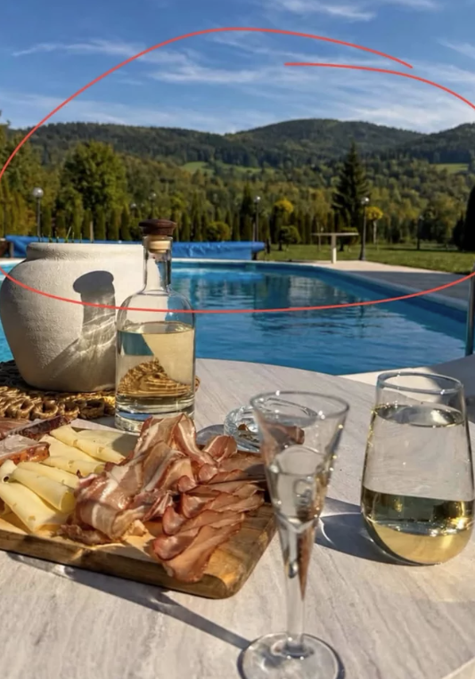GASTOZ SE IZBLAMIRAO KAO NIKADA PRE! Fotošopirao dvorište, odmah ga svi provalili