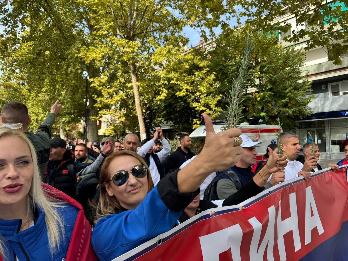 SNS Ujedinjena Srbija Vojvodina