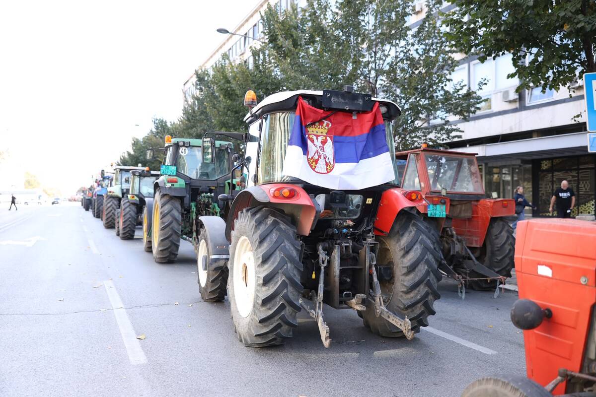 Skup SNS Novi Sad (1).jpeg