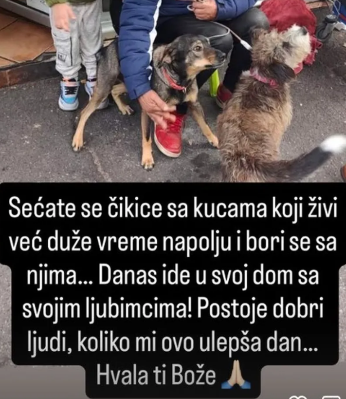 LUNA ĐOGANI POMOGLA DA SE ČOVEK KOJI ŽIVI NA ULICI SA KUČIĆIMA SMESTI U TOPLI DOM: Oglasila se radosna i srećna: Koliko mi je ovo ulepšalo dan, hvala ti, Bože