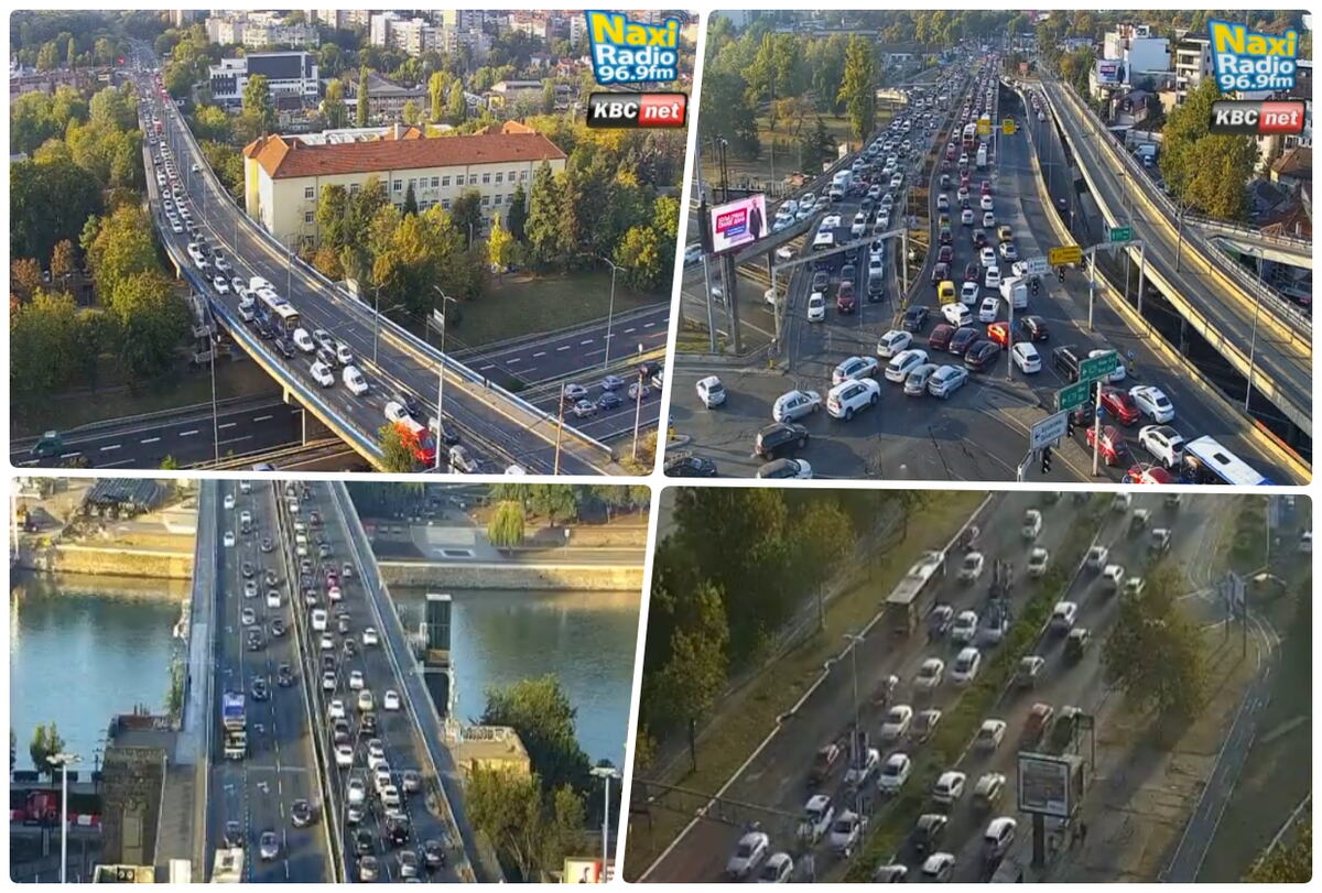 jutarnji špic