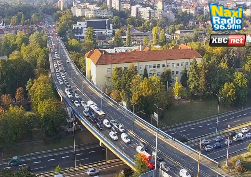 jutarnji špic