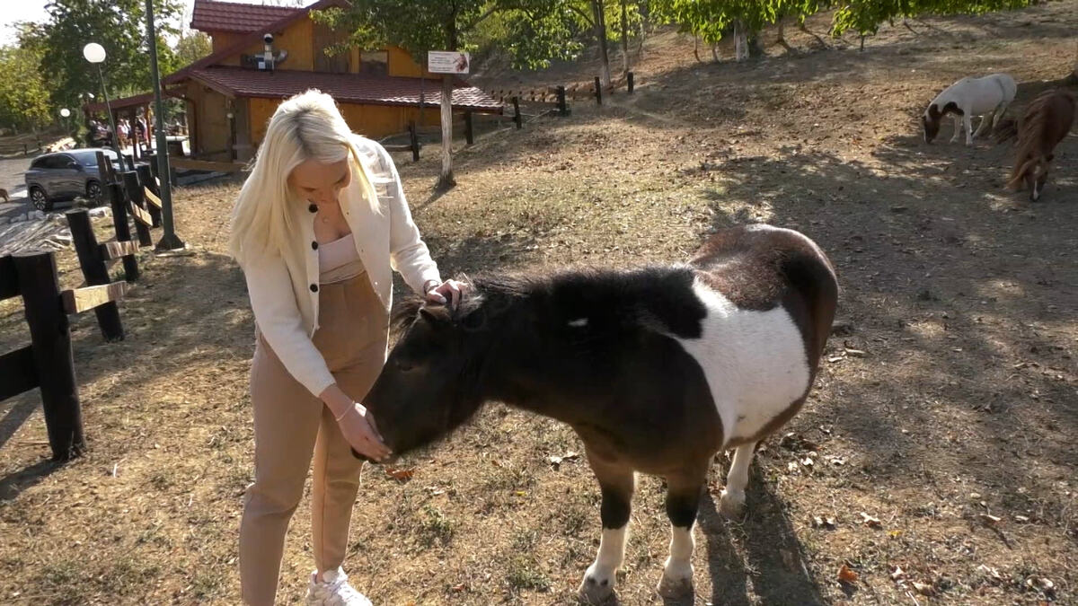 Milica Duduković iz Male Remete mazi ponija