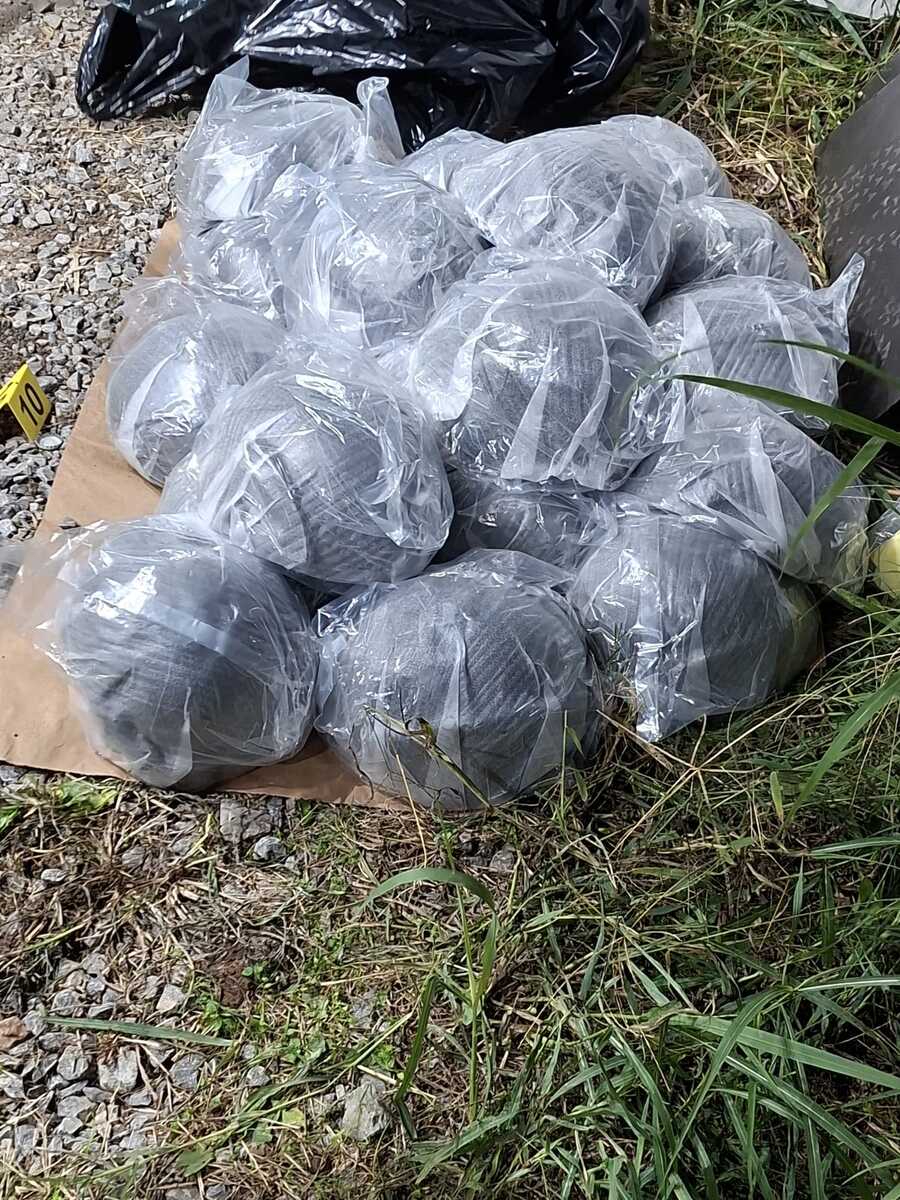 Novi Sad uhapšen pripadnik Veinova grupa