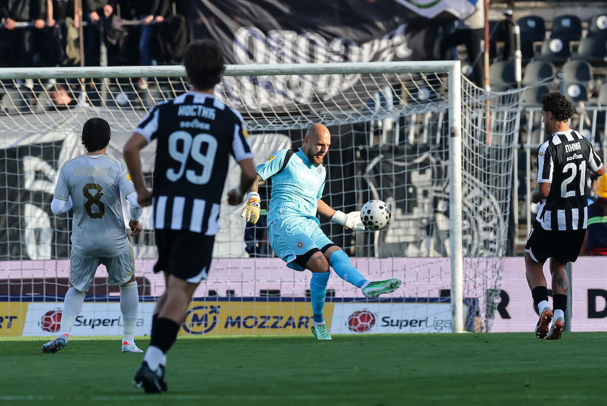 PARTIZAN-CUKARICKI_08.JPG