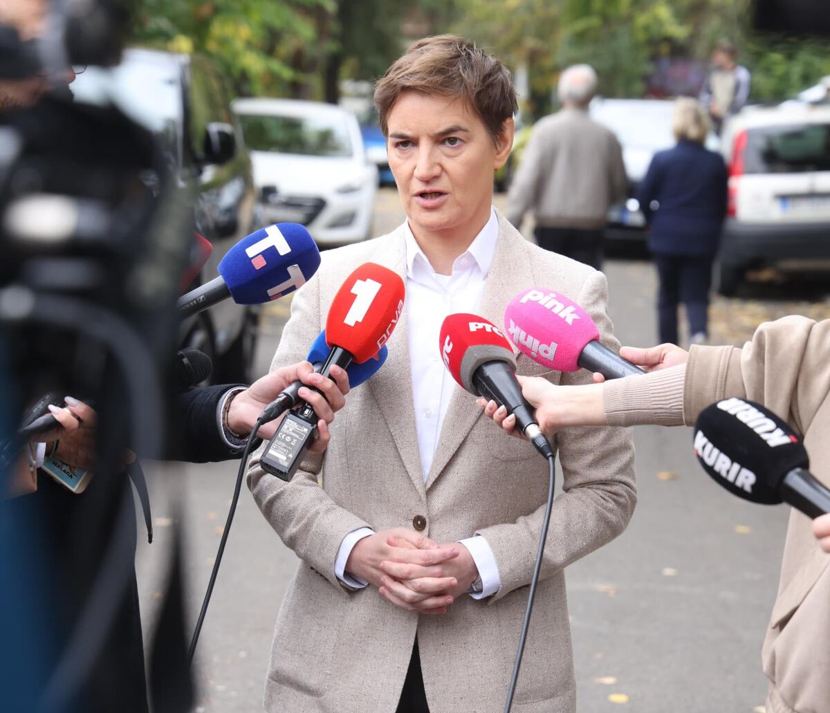 izbori 2026  Ana Brnabić