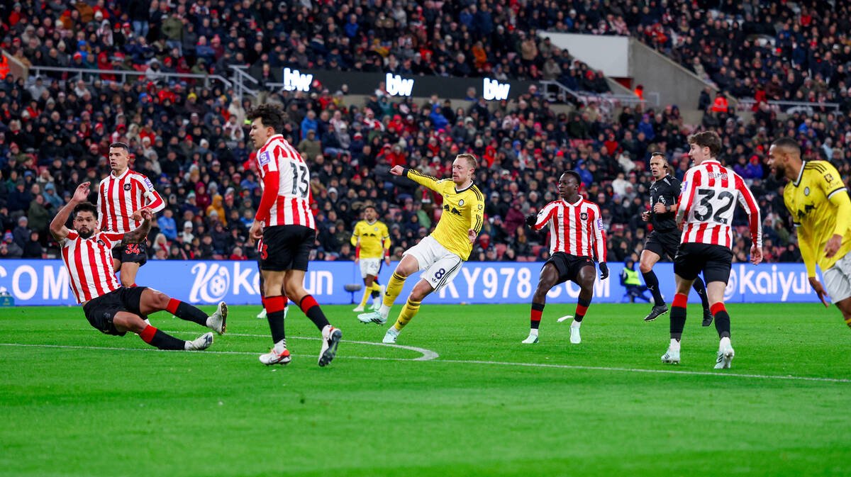 Sanderlend, Lids, Premijer liga