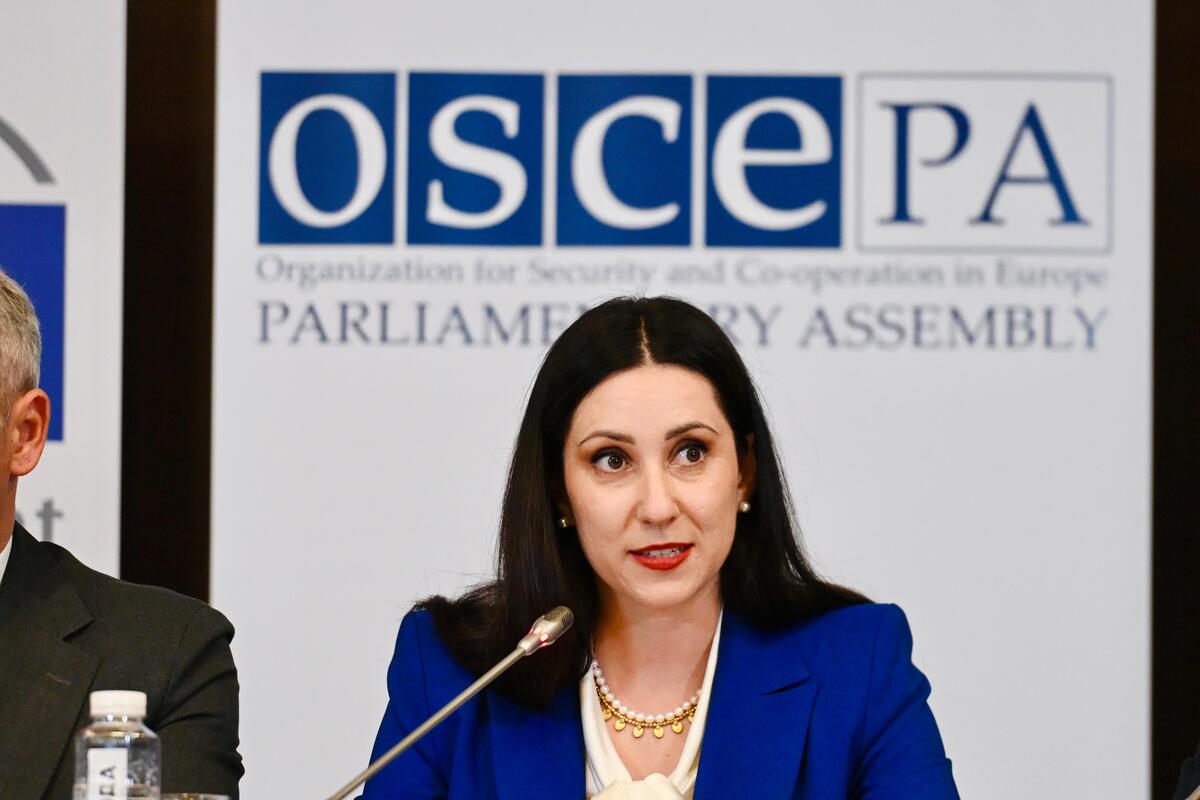 Izbori 2026 Posmatračka misija