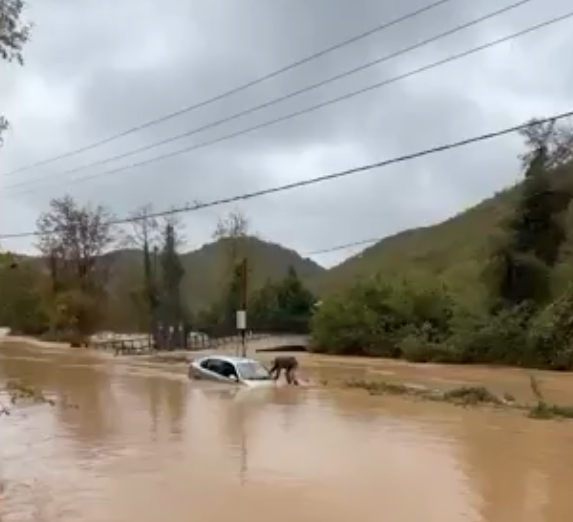 poplave istanbul.png