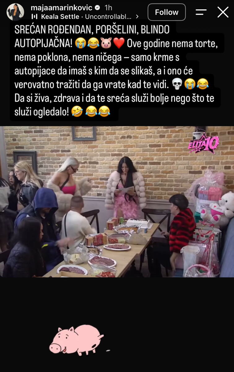 "ONA POTIČE ODAKLE JE SVINJA ZAŠTITNI ZNAK" Poršelina slavi rođendan, a sa svih strana pljušte prozivke: Lepi Mića nije birao reči, Maja Marinković je izvređala
