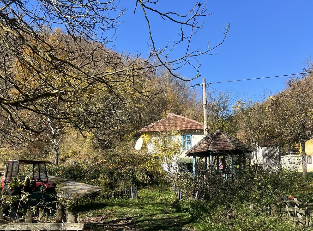 Dulene_u_S_umadiji_jedno_od_najleps_ih_srpskih_sela_foto_RINA_4.jpg