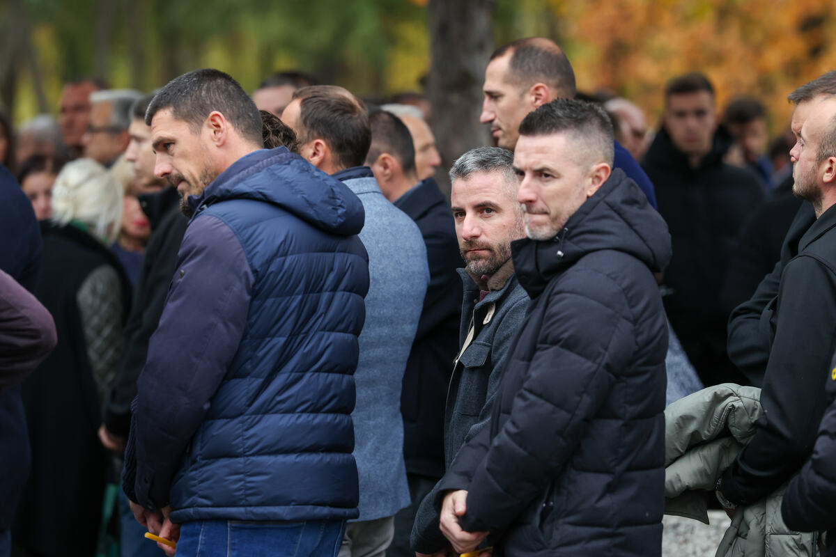 Antonio Rukavina Zoran Tošić