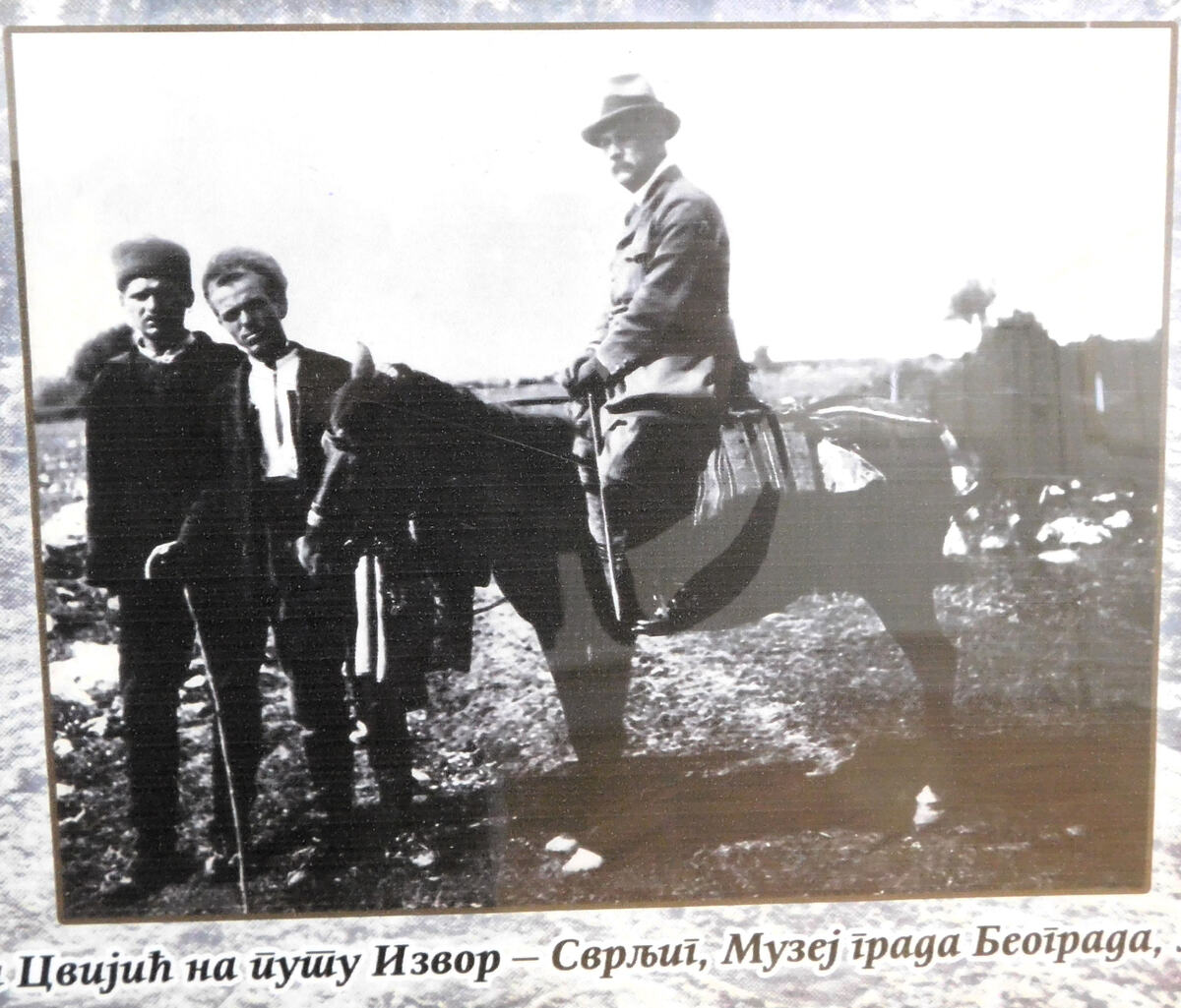 LOZNICA- Cvijić.JPG
