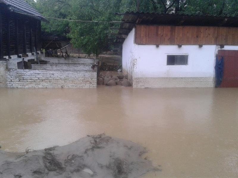 poplave-sremska-kamenica.jpg