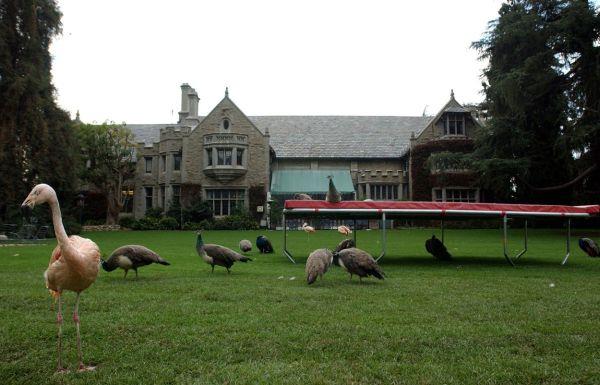 Zoo vrt u sklopu Plejboj vile Hjua Hefnera