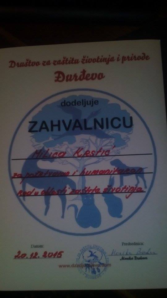 zahvalnica-drustvo-za-zastitu-zivotinja-djurdjevo.jpg